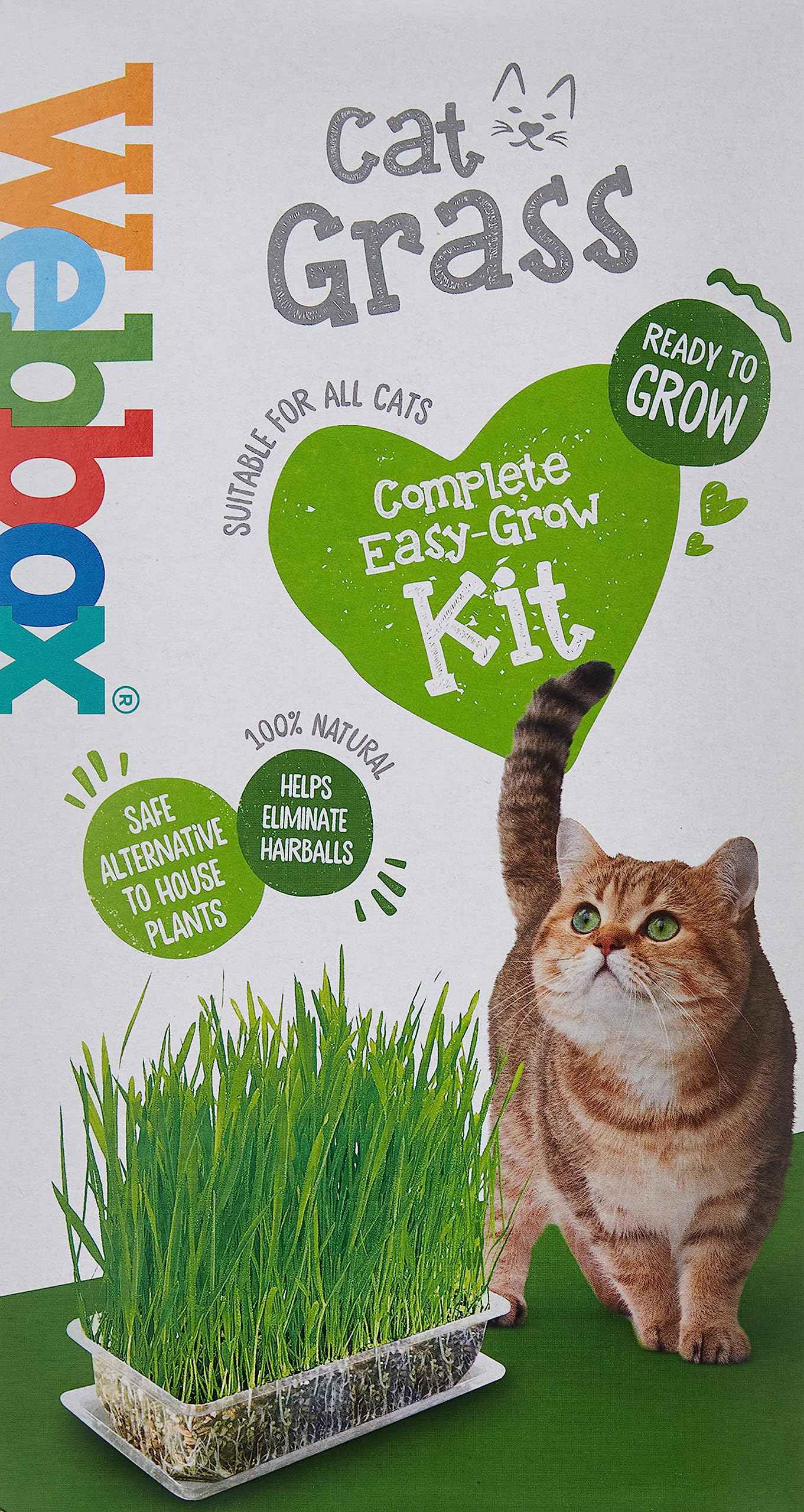 Webbox Cat Grass
